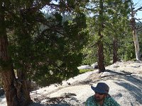YosemiteCreek 044 : YosemiteCreek
